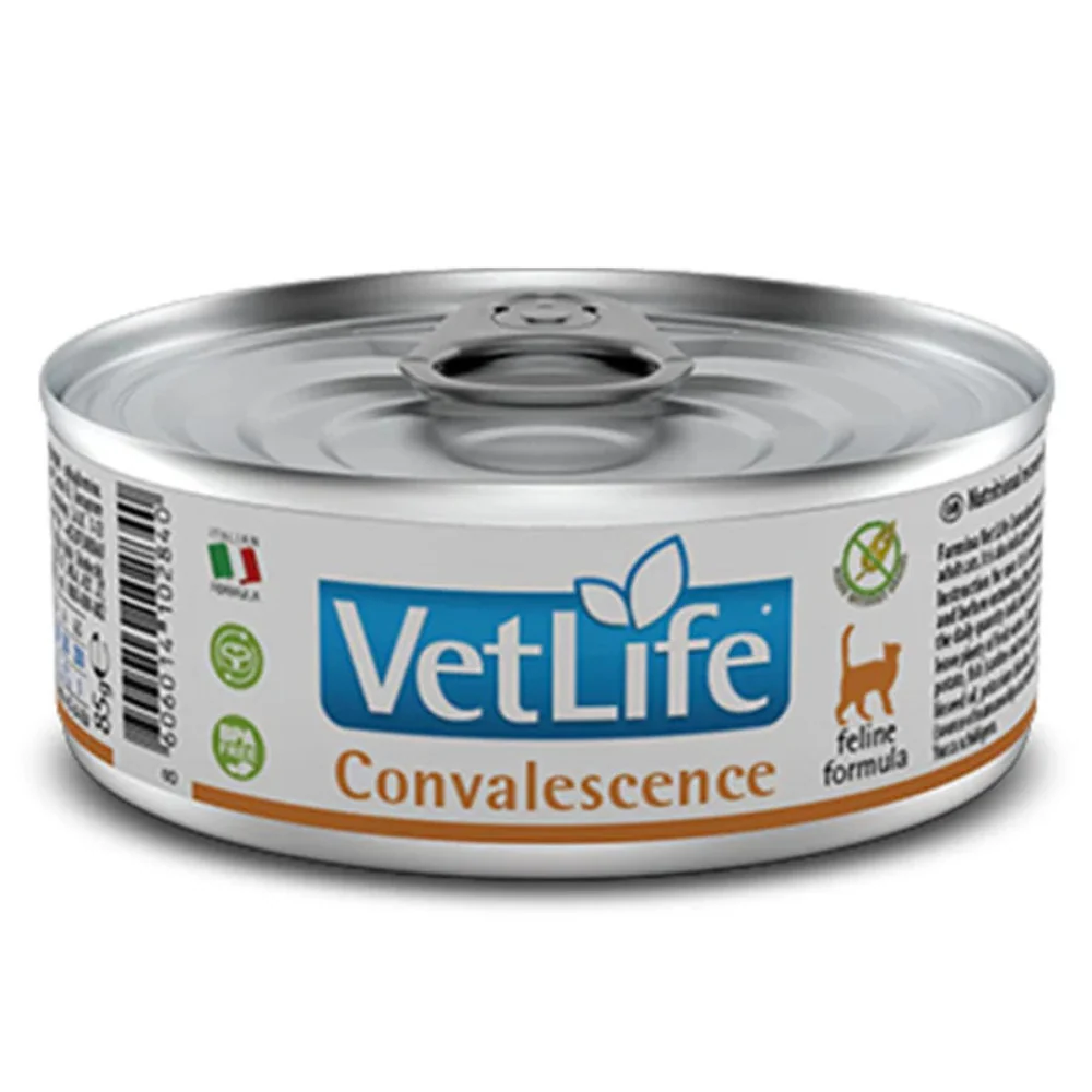 Vet Life WF Lata Gato Convaleciente
