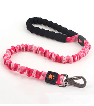 Correa Elástica Para Perros - Liampet