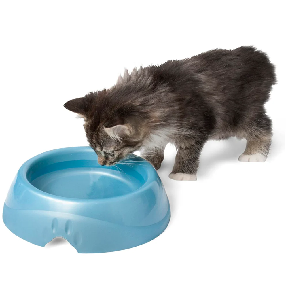 Plato Ultra Lightweight Petmate - Imagen 3