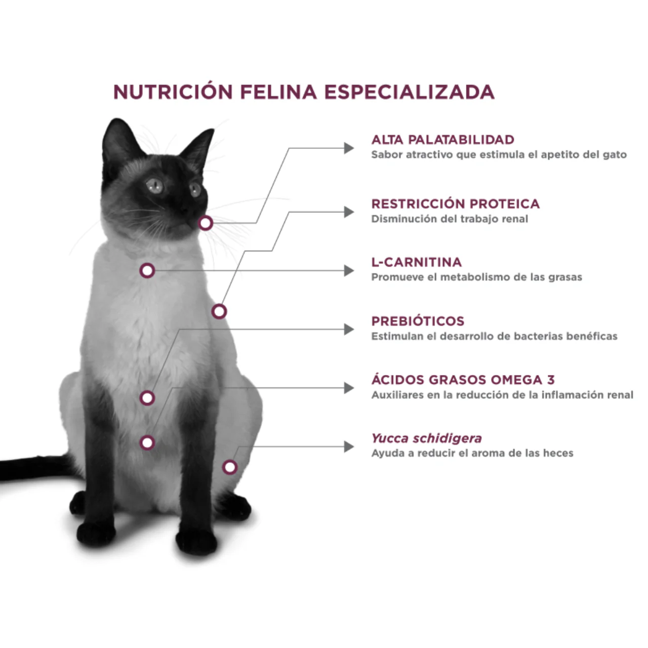 Nupec Felino Renal Care 1.5 Kg Alimento para Gatos Auxiliar en Problemas Renales - Imagen 2