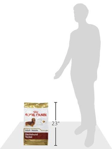 Royal Canin Alimento Perros Adulto Dachshund Salchicha 4.54 kg - Imagen 6
