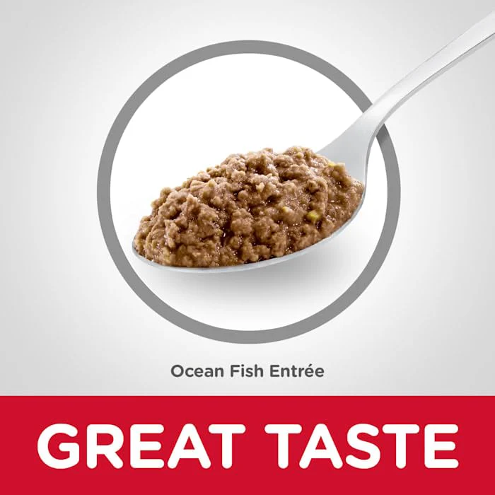 Hill's Science Diet Lata Adult Indoor Ocean Fish Entrée Alimento húmedo para Gato Adulto receta de Pescado Marino 156gr - Imagen 2