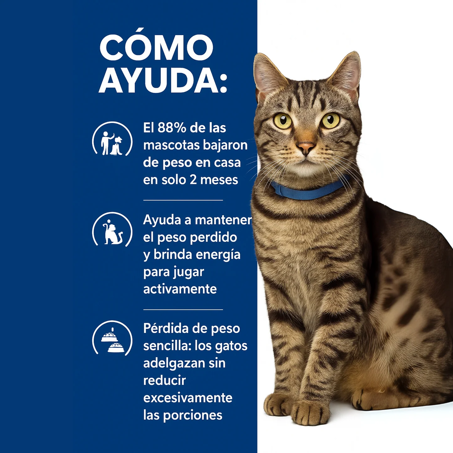 Hill's Prescription Diet Metabolic Lata Alimento Húmedo para Gatos Adultos Cuidado del Metabolismo 82gr - Imagen 2