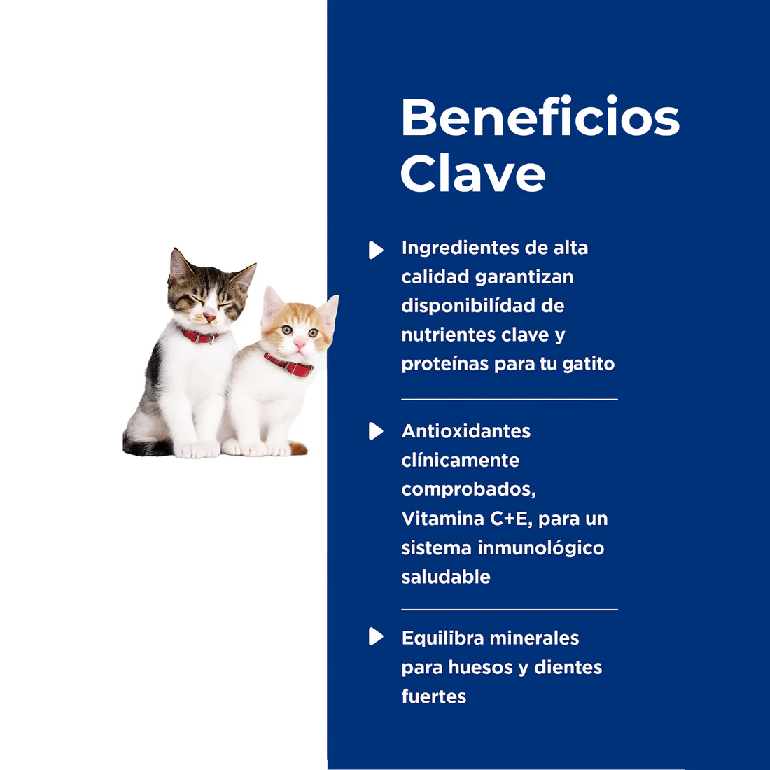 Hill's Science Diet Lata Kitten Savory Turkey Entrée Alimento Húmedo para Gatitos sabor Pavo 82gr - Imagen 3
