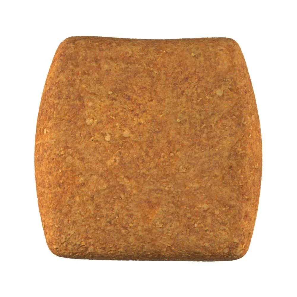 Royal Canin Alimento Perros Adulto Dachshund Salchicha 4.54 kg - Imagen 5