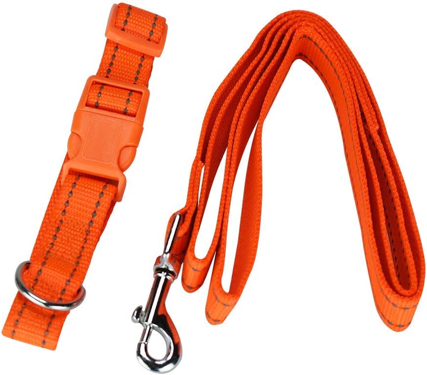 Collar Mediana Con Correa Con Bandas Reflejantes Fancy Pets para Perro