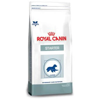 Royal Canin Alimento Perros Starter Cachorro Lactancia Gestacion Raza Mediana Croqueta Pienso