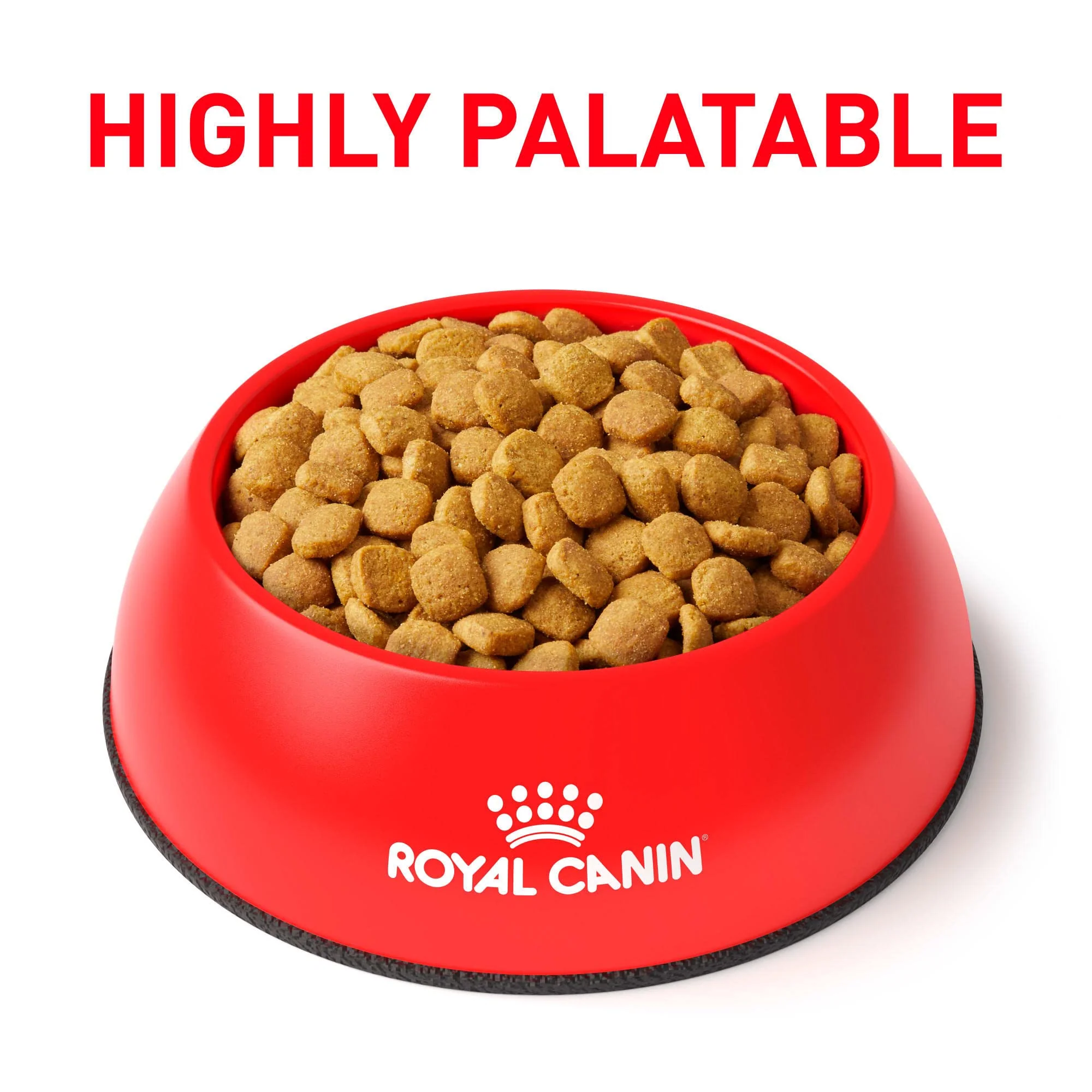 Royal Canin Alimento Gatos Weight Control Feline Control Peso Croqueta Pienso - Imagen 4
