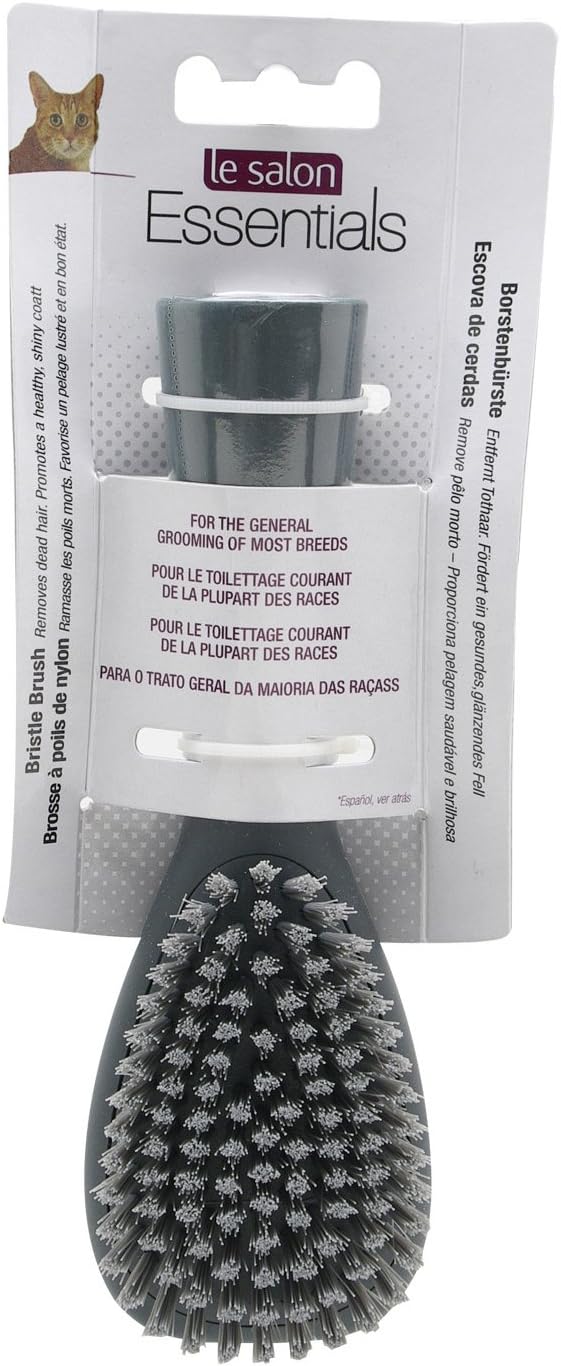 Catit Le Salon Cepillo Peque¤o De Cerdas Fancy Pets