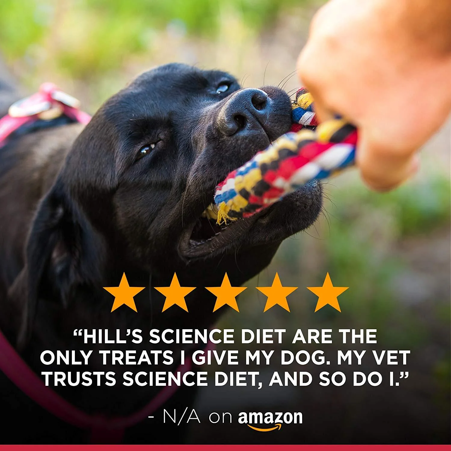 Hills Natural Jerky Mini Strips Premios Perros Pollo 200 gr Treats - Imagen 8