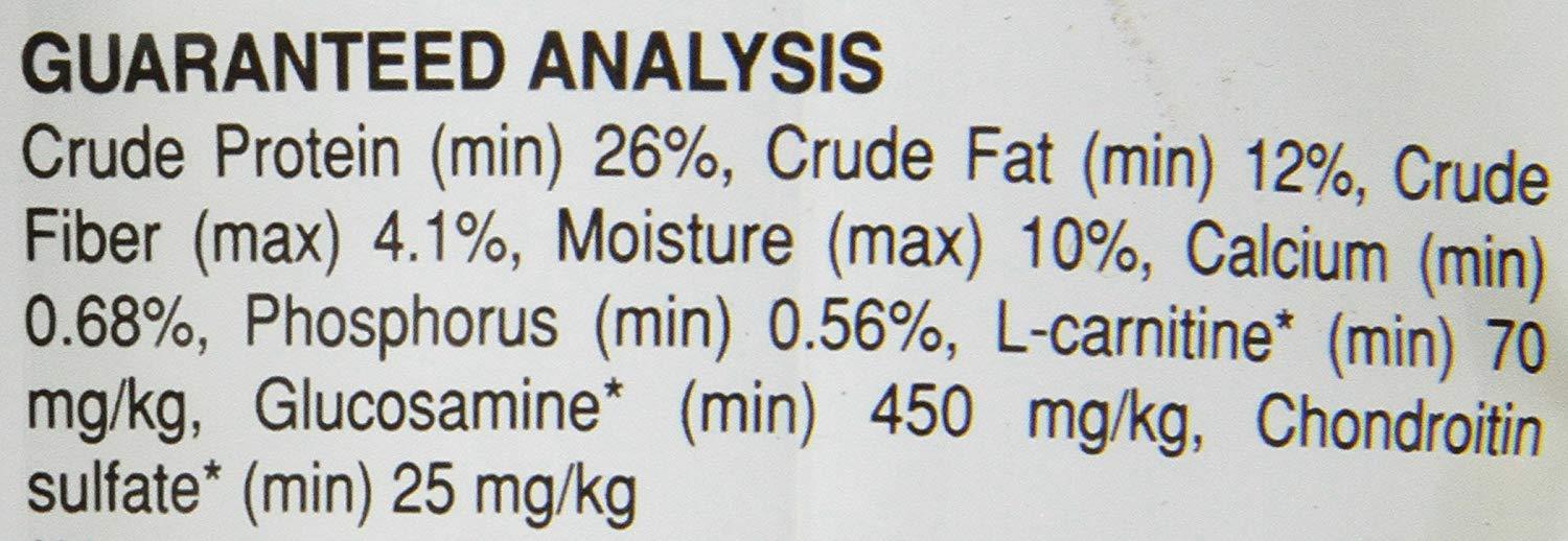 Royal Canin Alimento Perros Adulto Dachshund Salchicha 4.54 kg - Imagen 7