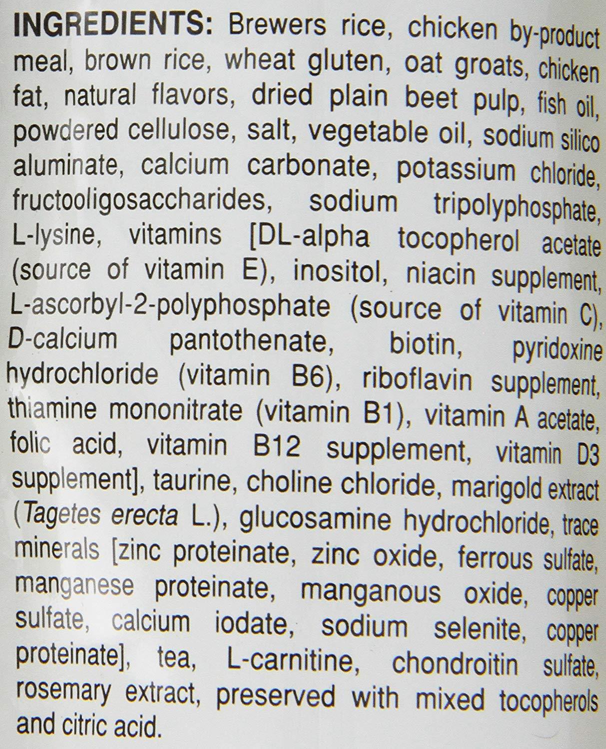 Royal Canin Alimento Perros Adulto Dachshund Salchicha 4.54 kg - Imagen 8