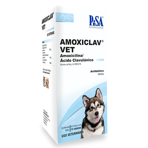 Amoxiclav Vet 14 Tabletas (Amoxicicilina - Ácido Clavulánico)