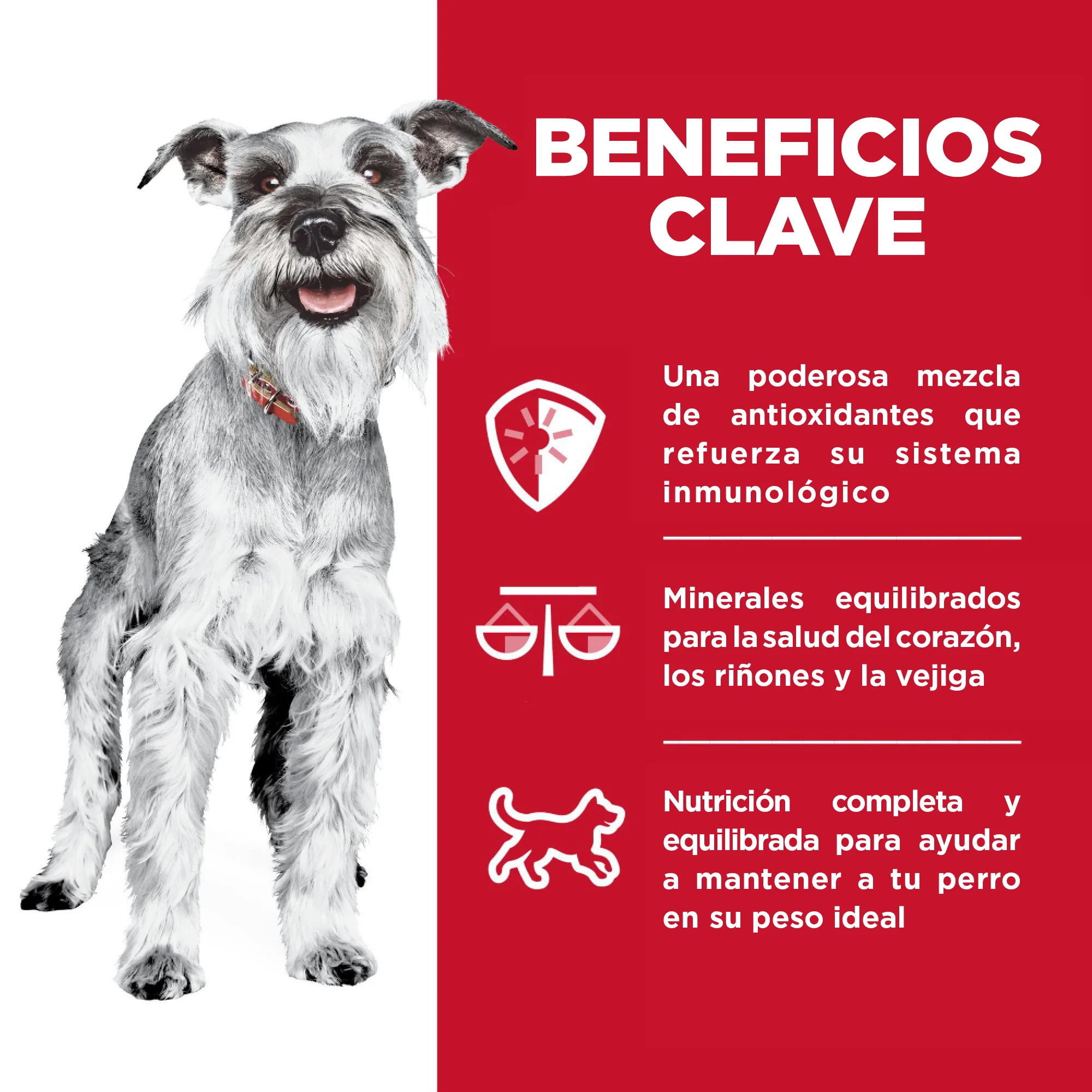 Hills Science Diet Alimento Perros Adulto 7+ Lata 369 gr Alimento Humedo - Imagen 4