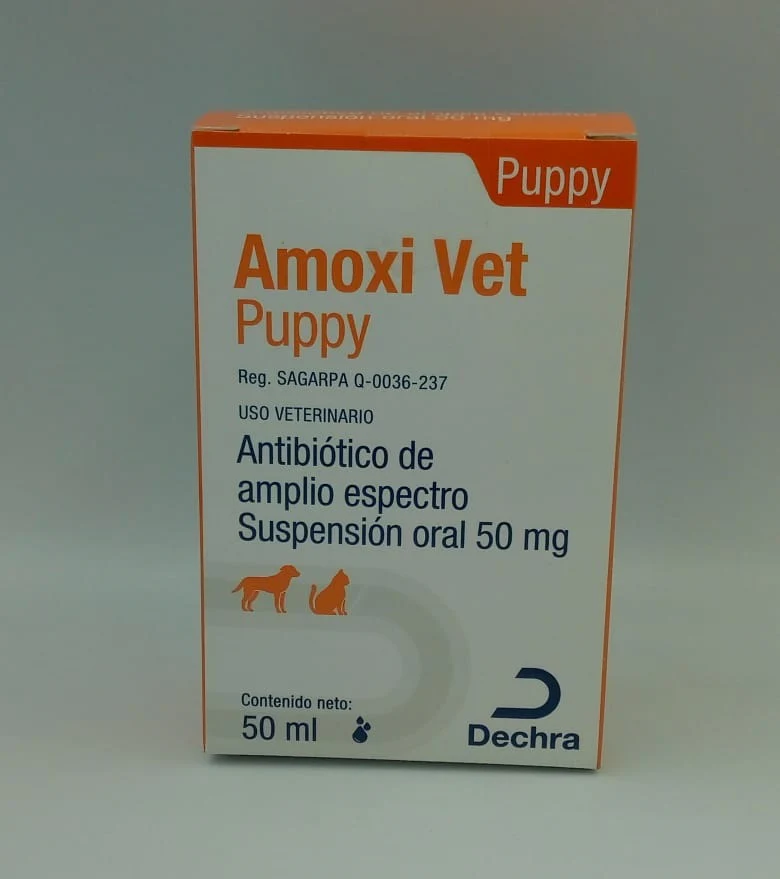 Amoxi Vet Puppy 50 mg frasco 50 ml ( Amoxivet ) - Imagen 3
