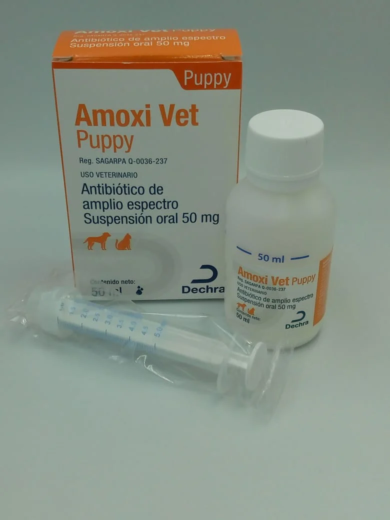 Amoxi Vet Puppy 50 mg frasco 50 ml ( Amoxivet ) - Imagen 2