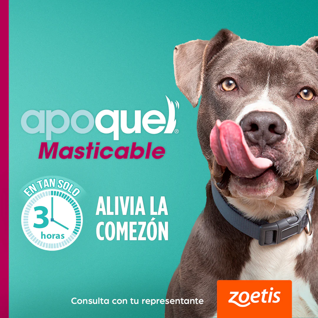 Apoquel Masticable 5.4 mg Tratamiento Dermatitis Alérgica en Perros - Imagen 4