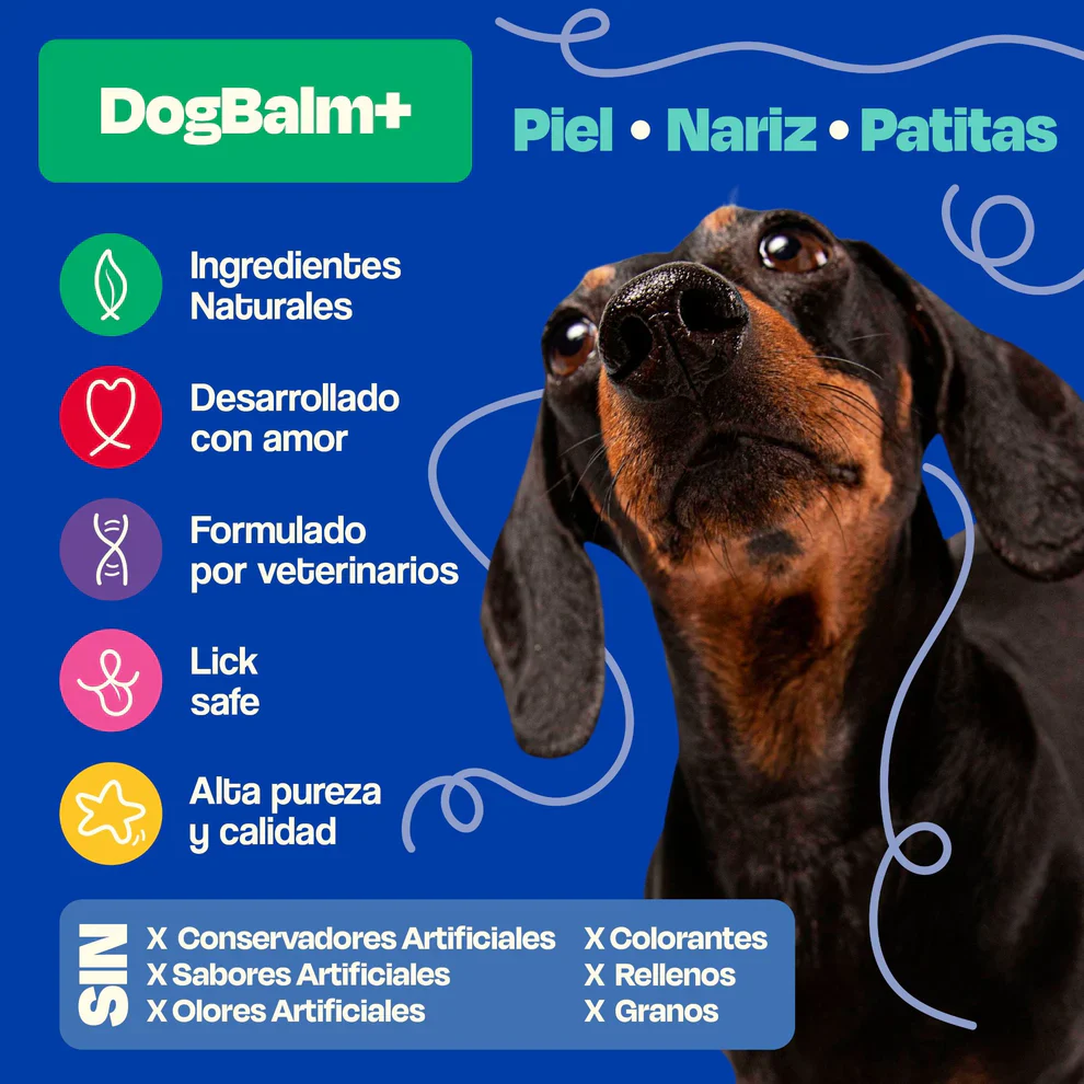 Dogelthy Dog BALM TARRO 50 gr ( Bálsamo Hidratante para Piel, Patitas y Nariz Anti Resequedad y Agrietamiento ) - Imagen 2