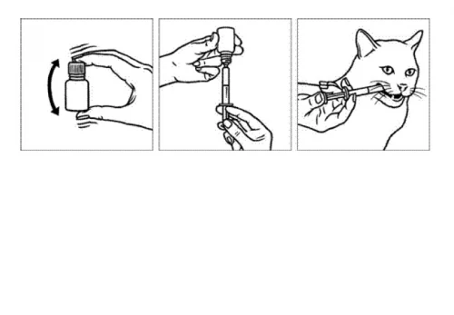 Elanco Veraflox 25 MG 15 ML - Imagen 2