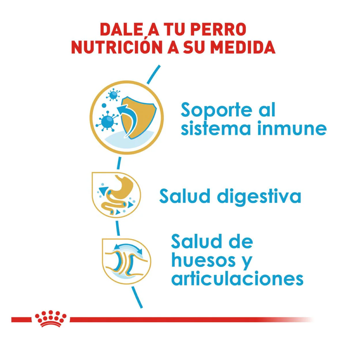 Royal Canin Bulldog Puppy - Alimento para Cachorro - Imagen 2