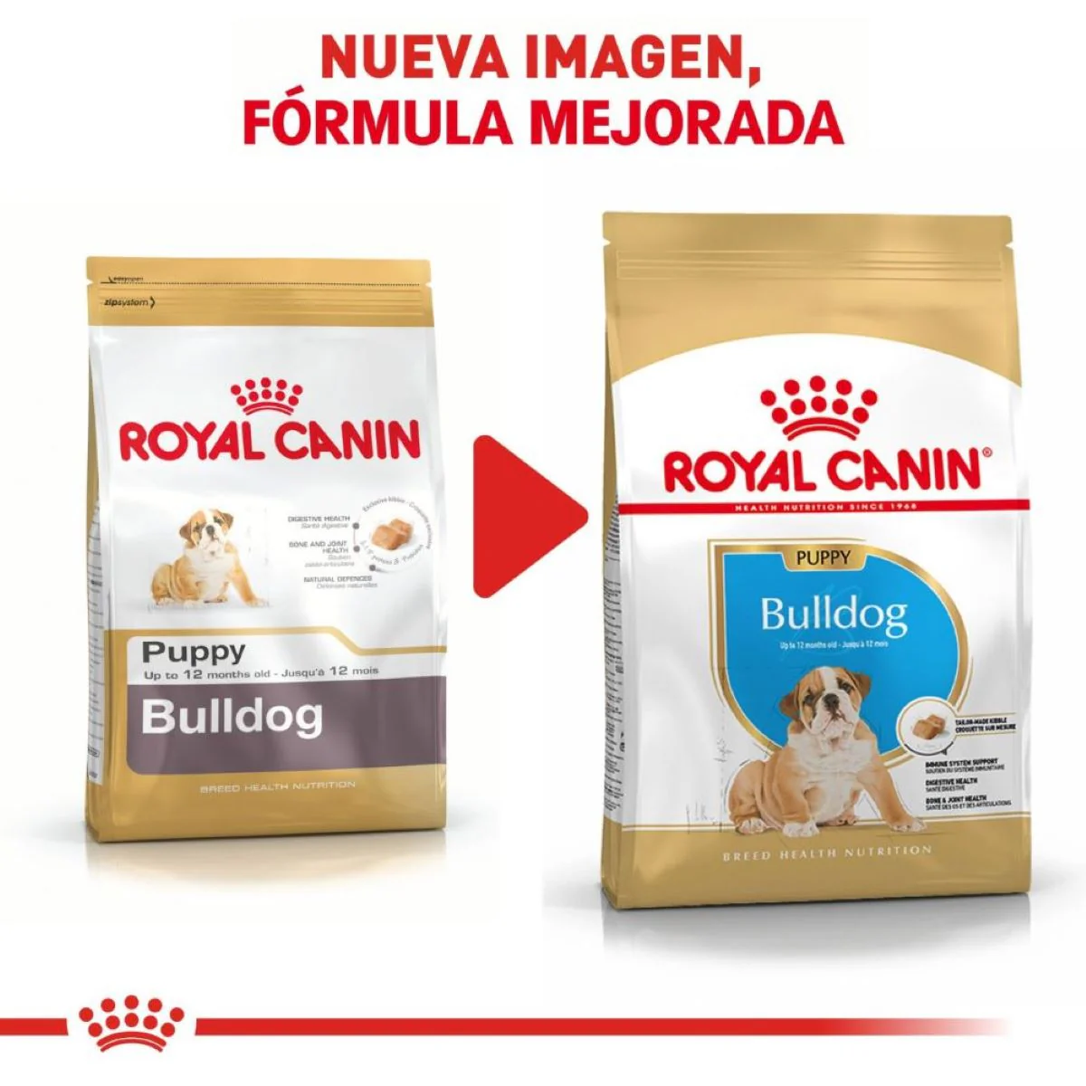 Royal Canin Bulldog Puppy - Alimento para Cachorro - Imagen 6