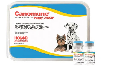 Canomune Puppy DHA2P ( VACUNA CUADRUPLE ) 12 DOSIS REQUIERE TRANSPORTARSE EN FRÍO LLAME PARA COTIZAR ENVÍO
