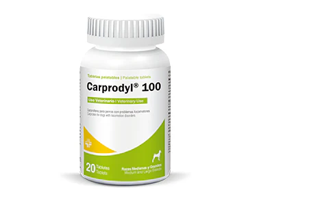 Carprodyl 100 mg 20 tabletas (Carprofeno ) AGOTADO TEMPORALMENTE