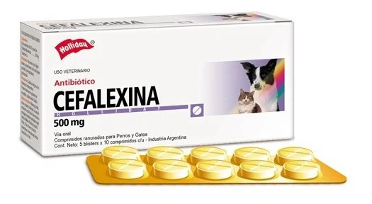 Holliday Cefalexina Antibiotico 500 mg 30 Tab - Imagen 2