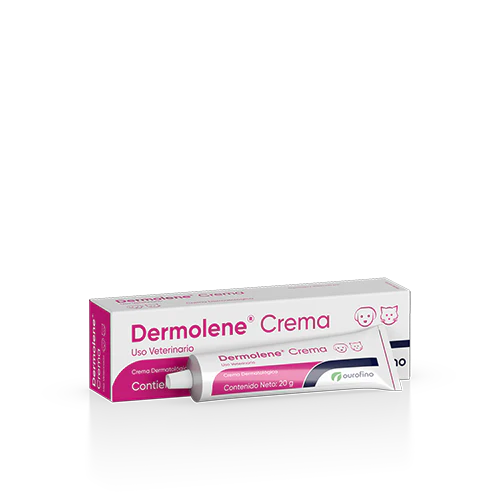 Dermolene 20 gr ( Crema Dermatólogica - infecciones )