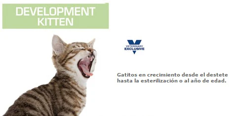 Royal Canin Alimento Gatos Development Kitten Feline Lata 145gr Cachorros - Imagen 3