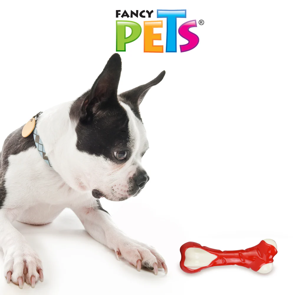 Juguete para Perro Dental Hueso con Sabor a Pollo Fancy Pets - Imagen 2