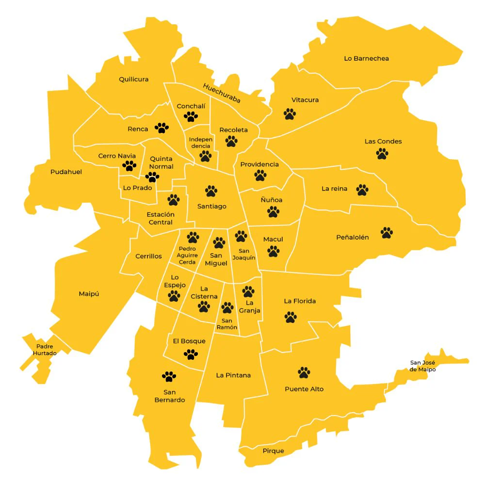 Baño Perro MEDIANO (hasta 20 Kg) domicilio - Imagen 3