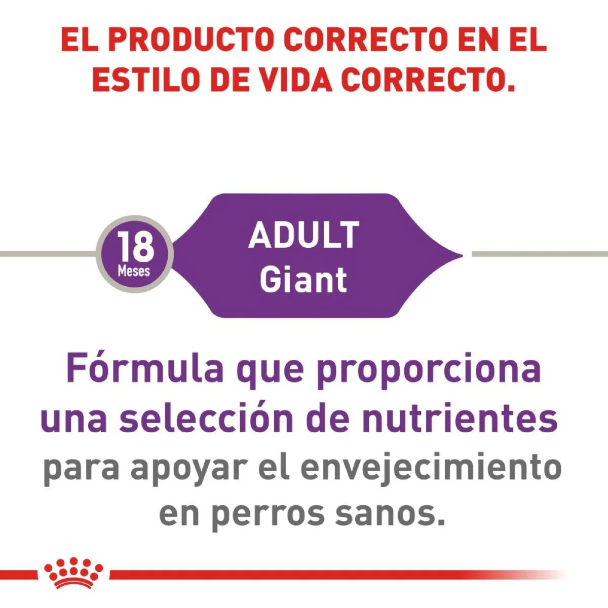 Royal Canin Giant Adulto - Imagen 4