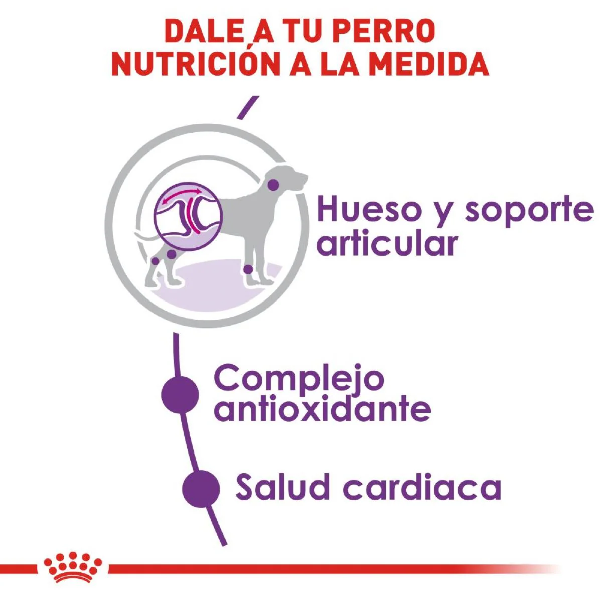 Royal Canin Giant Adulto - Imagen 6