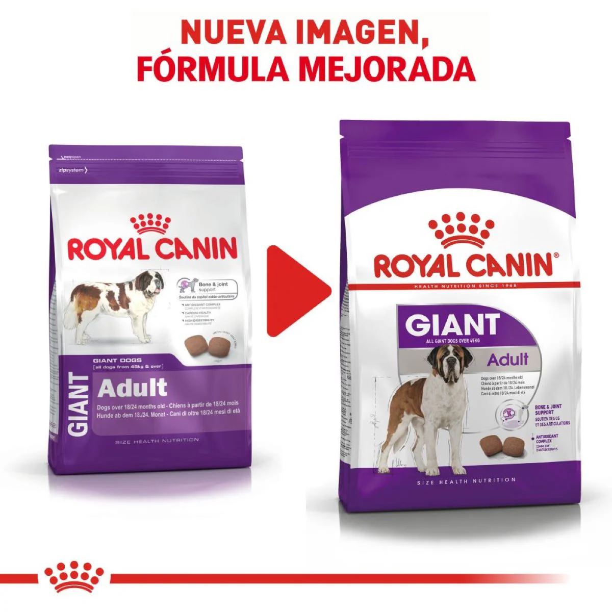 Royal Canin Giant Adulto - Imagen 3
