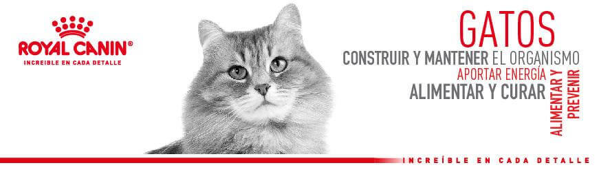Royal Canin Alimento Gatos Weight Control Feline Control Peso Croqueta Pienso - Imagen 6