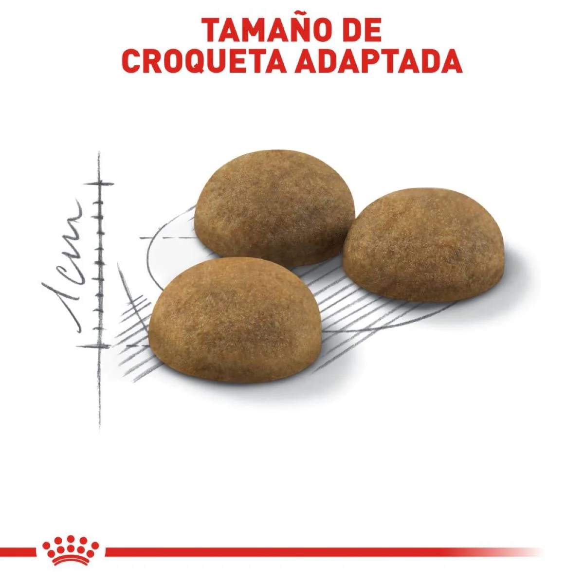 Royal Canin Indoor Cat - Imagen 7