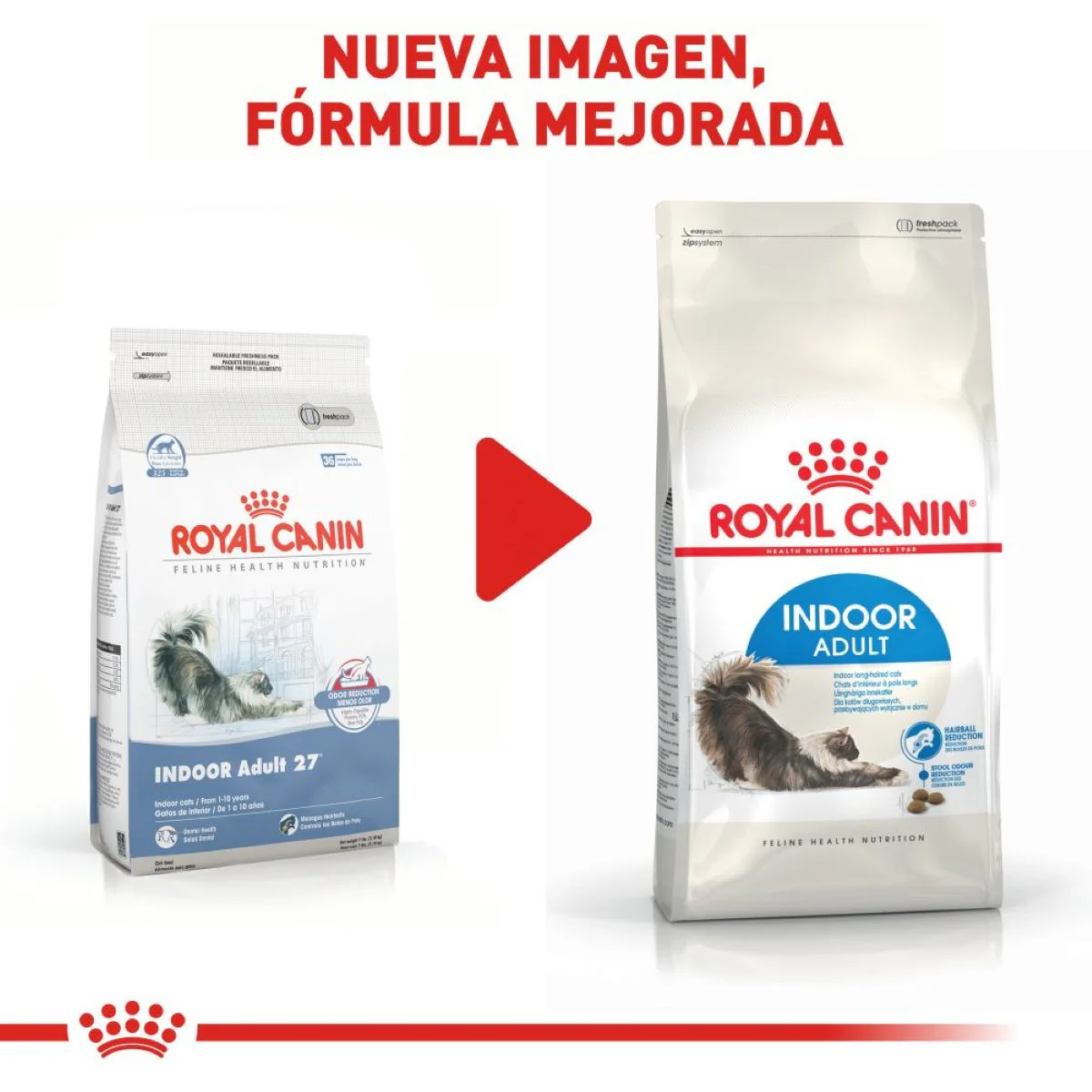 Royal Canin Indoor Cat - Imagen 4