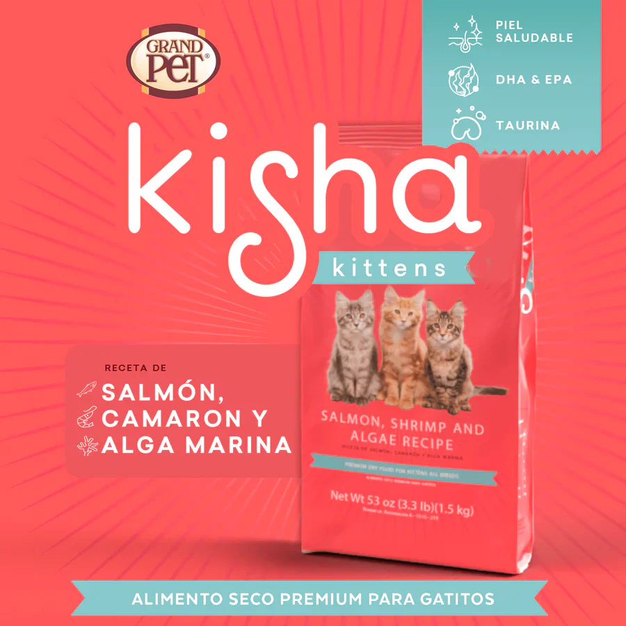 Kisha Alimento para Gatitos - Imagen 2