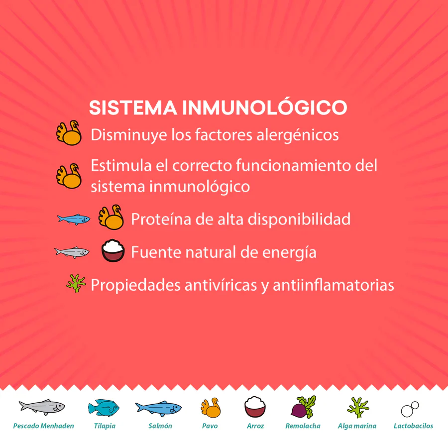 Kisha Alimento para Gatitos - Imagen 3