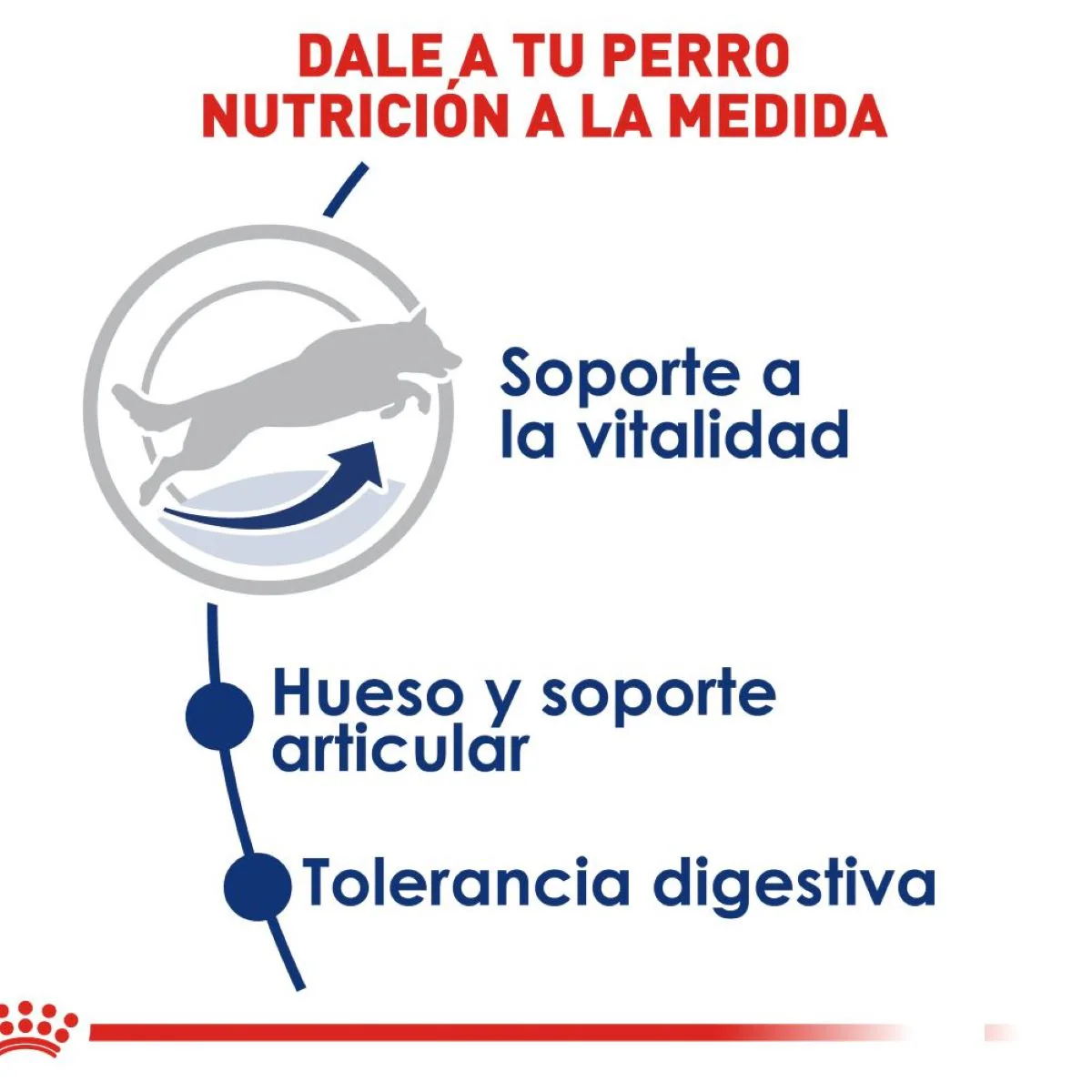 Royal Canin Large Adult 5+ - Imagen 4