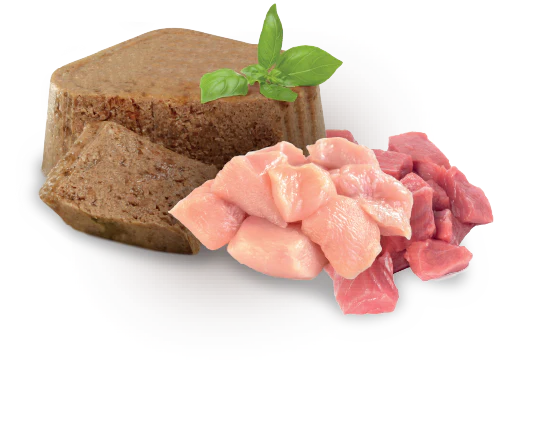 Nupec Caja con 4 piezas Alimento Húmedo Gato Indoor 100 Gr - Imagen 3