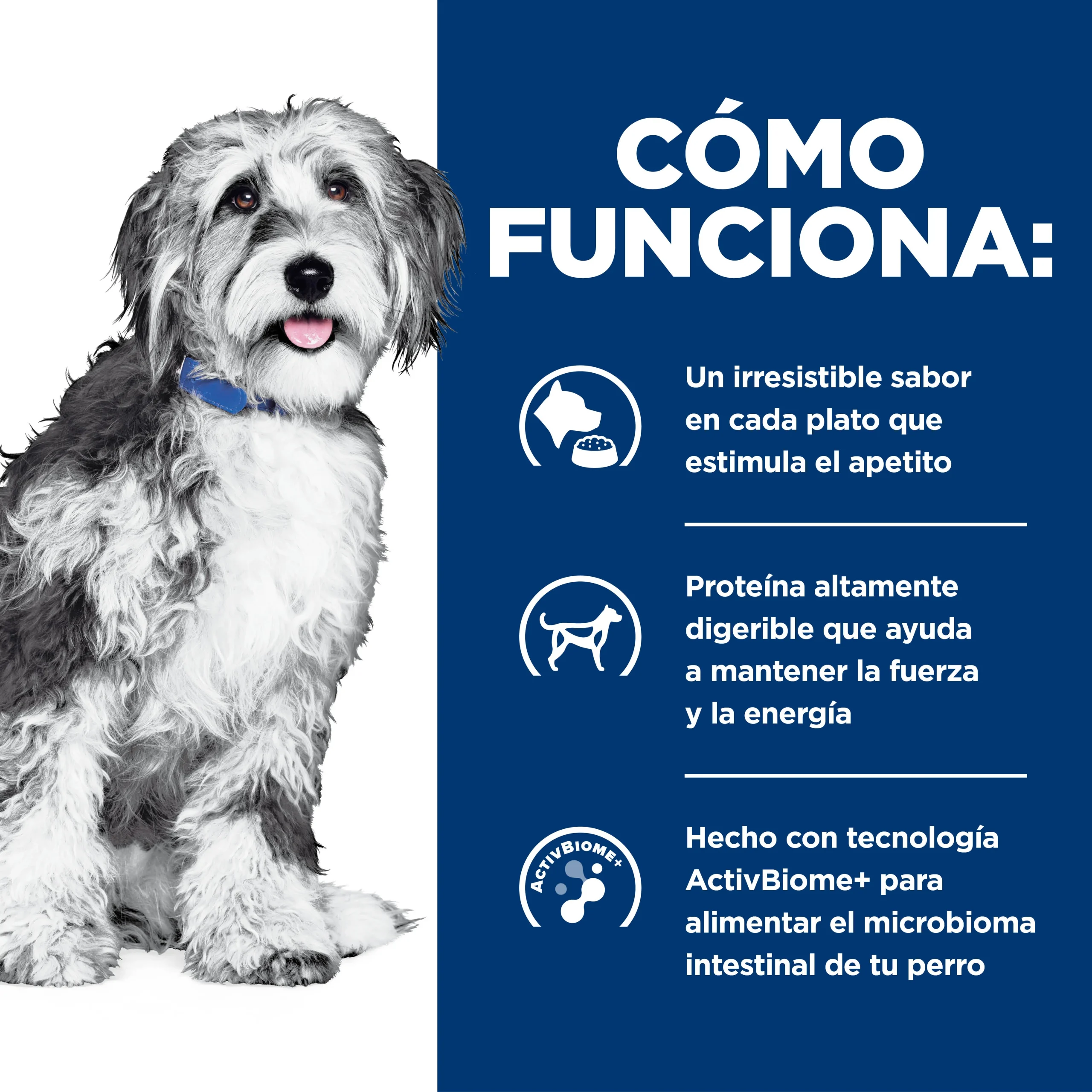 Hill's Prescription Diet ONC Care Nutrición y Apoyo de Recuperación Alimento Húmedo para Perro diagnosticado con cáncer 354 g - Imagen 2