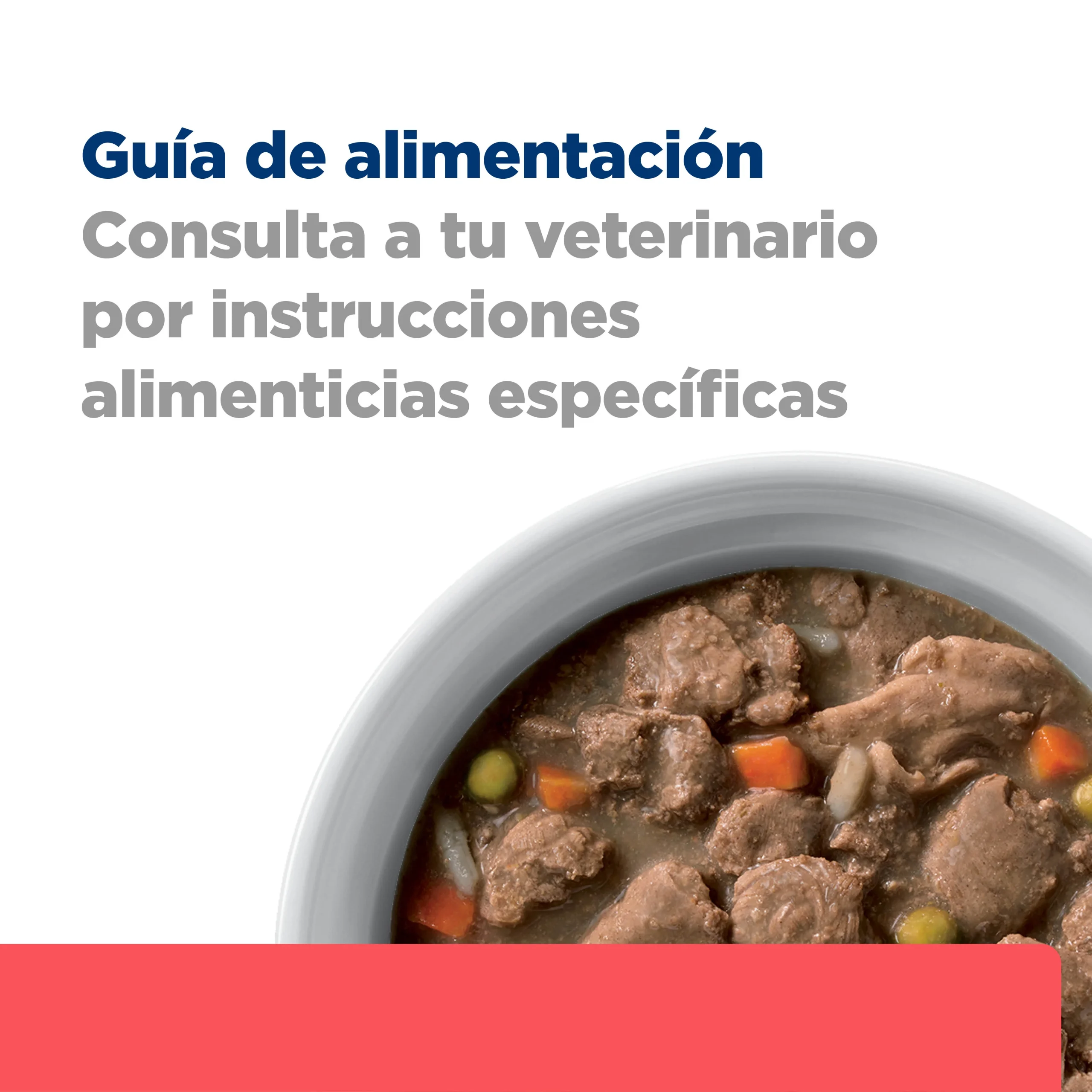Hill's Prescription Diet ONC Care Nutrición y Apoyo de Recuperación Alimento Húmedo para Perro diagnosticado con cáncer 354 g - Imagen 5