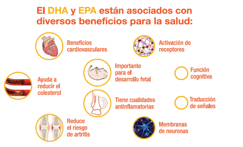 Omegratrix 30 cápsulas gelatina blanda ( ácidos grasos ) - Imagen 3