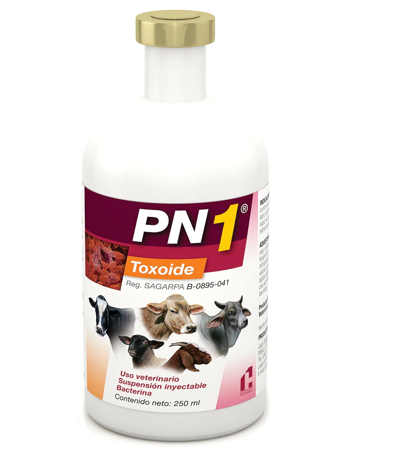 Bacterina Toxoide Chinoin PN1 Pasteurelosis Neumónica Frasco con 250 ml (50 dosis) REQUIERE TRANSPORTARSE EN FRÍO LLAME PARA COTIZAR ENVÍO