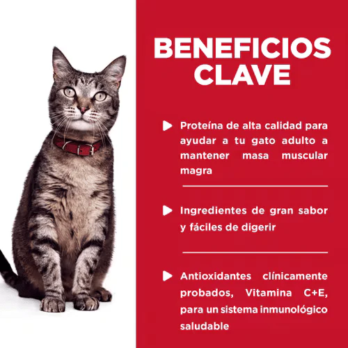 Alimento Húmedo Hills Pouch para Gato Adulto Sabor Pescado - 12 Pack - Imagen 3