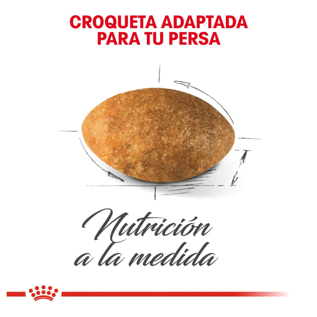 Royal Canin Persian Cat Adult 3.18 Kg - Alimento para Gato Persa Adulto - Imagen 4