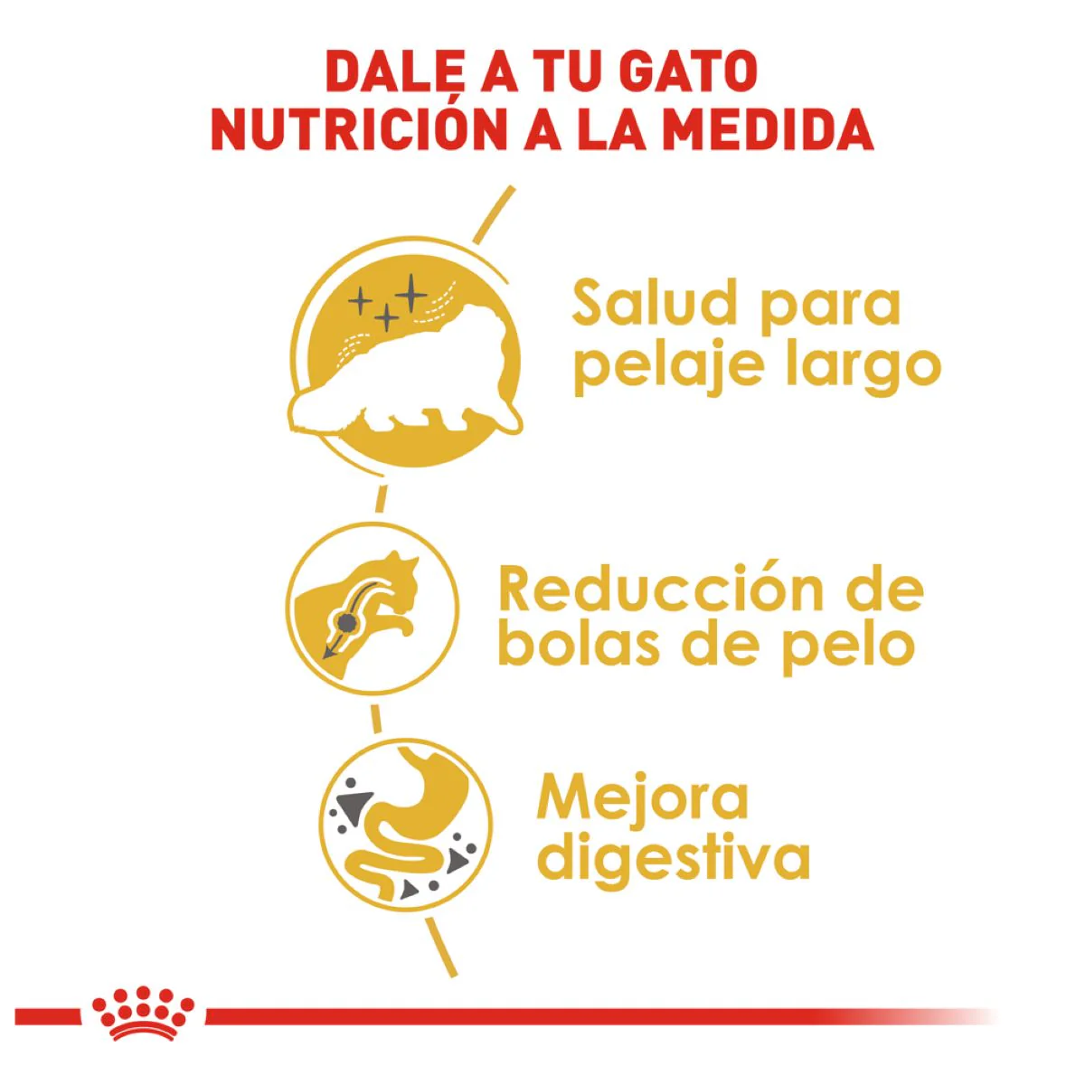 Royal Canin Persian Cat Adult 3.18 Kg - Alimento para Gato Persa Adulto - Imagen 5