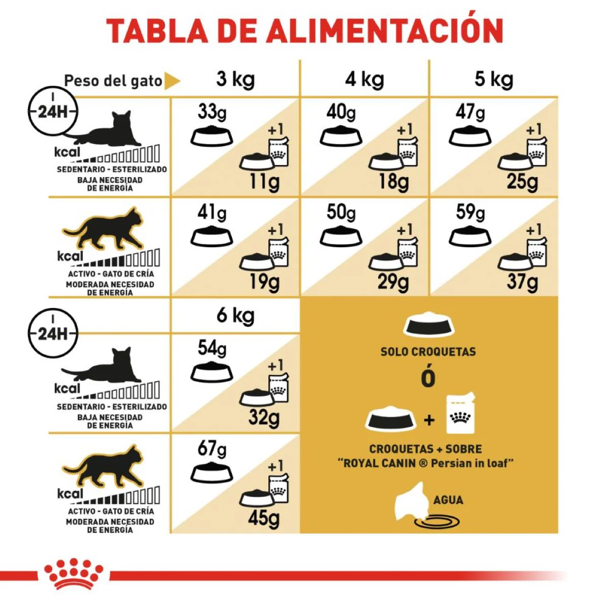 Royal Canin Persian Cat Adult 3.18 Kg - Alimento para Gato Persa Adulto - Imagen 7